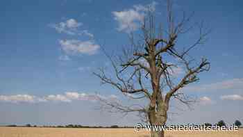 Klima - Jena - Trotz niedriger Pegel: "Thüringen droht nicht auszutrocknen" - Wissen - SZ.de - Süddeutsche Zeitung - SZ.de