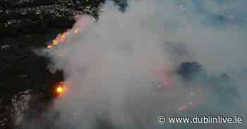 Dublin fire fighter calls for wildfire preparations as climate change hits - Dublin Live