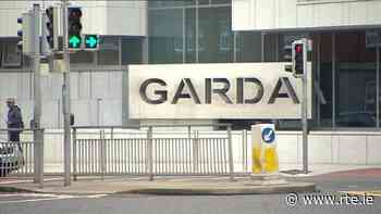 Two arrested after firearm seized in Dublin - RTE.ie