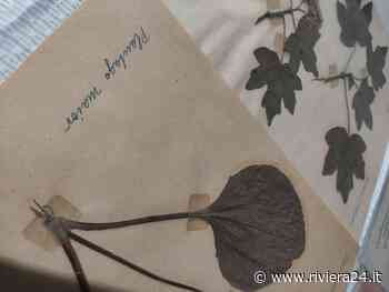 “L'Erbario” di Marco Damele in mostra a Bajardo, domenica 31 luglio l'inaugurazione - Riviera24