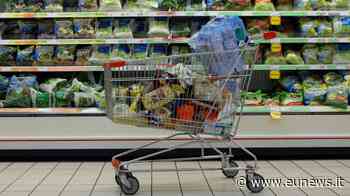Eurozona, inflazione senza sosta: a luglio attesa all'8,9 per cento - EuNews