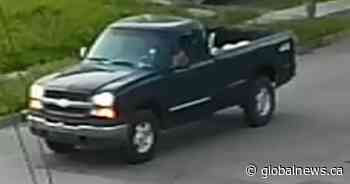 N.B. RCMP seek witness after woman falls on Moncton sidewalk, later dies