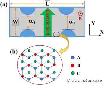 Novel transport properties of the α-T3 lattice with uniform electric and magnetic fields | Scientific Reports - Nature.com