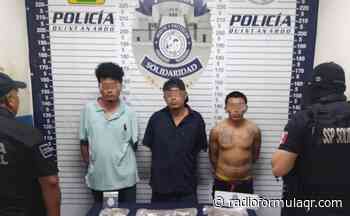 Playa del Carmen: Aseguran a tres hombres por delitos contra la salud - Radio Fórmula QR