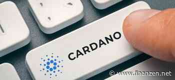 Cardano kaufen - diese Möglichkeiten gibt es