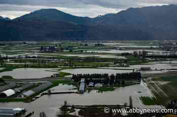 Ranking atmospheric rivers premature, says Environment Canada, months after B.C. vow