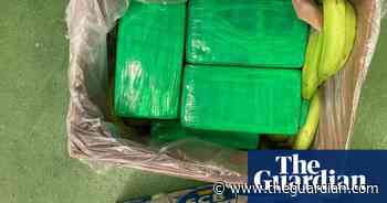 Half a tonne of cocaine found hidden among bananas at Essex port