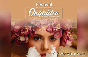Festival de la Orquídea en Coatepec tendrá más de 100 actividades | e-consulta.com 2022 - e-veracruz