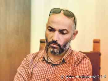 Campobasso, disinfestazione anti zanzare: le precisazioni di Cretella - Molise News 24