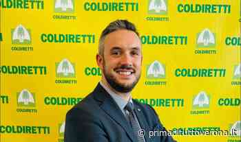 Ispra, Coldiretti Verona: “Nel 2021 scomparsi altri 185 ettari di suolo” - Prima Verona