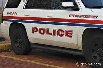 Former McKeesport police officer accuses department of race, gender discrimination - TribLIVE