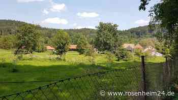 „Entenbaron“ will Touristen nach Niederaltenburg locken