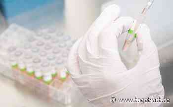 Inzidenz im Kreis Stade sinkt im Wochenvergleich deutlich - Landkreis Stade - Tageblatt-online