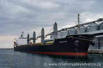 Zelenskyy visits port as Ukraine prepares to ship out grain - Creston Valley Advance