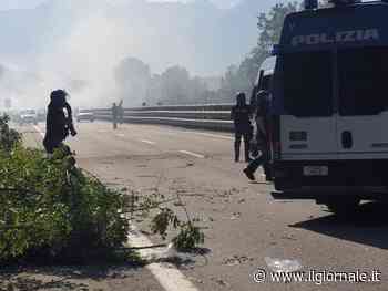Sempre i soliti No Tav: sassi contro la polizia