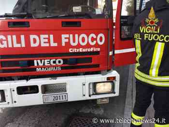 Genova, incendio boschivo in via 2 Dicembre in zona Voltri - Telecity News 24