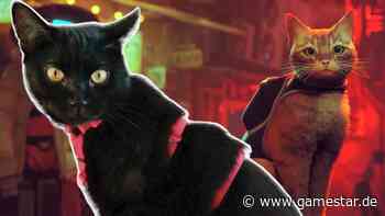 Internet-Katzen und Stray: Ein süüüßes Best Of der Fellnasen-Reaktionen - GameStar