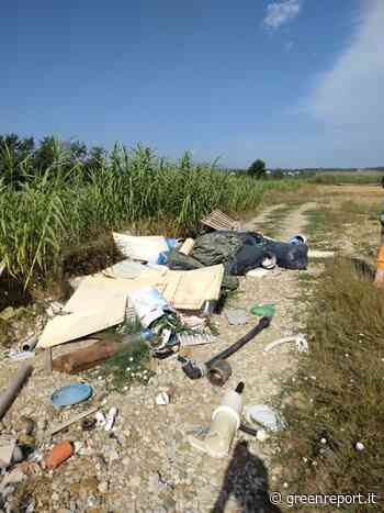 Rimossi 500 kg di rifiuti dal Padule di Fucecchio - Greenreport: economia ecologica e sviluppo sostenibile