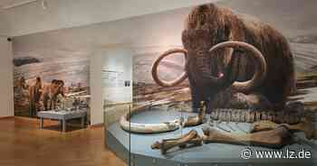 Die Steinzeit hautnah in Detmold erleben | Lokale Nachrichten aus Detmold - Lippische Landes-Zeitung