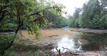 Wasser strömt aus Donoperteich | Lokale Nachrichten aus Detmold - Lippische Landes-Zeitung