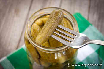 Un sottaceto spiaccicato sul soffitto può diventare un'opera d'arte? In Australia è successo. - Agrodolce