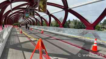 Suspect in Peace Bridge vandalism arrested, say Calgary police - CBC.ca