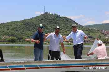 Siembran 100 mil alevines en Lago de Chapala desde Jamay - UDG TV