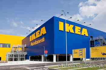 Lavoro Catania e provincia: IKEA, Primark e MediaWorld cercano personale - Liveunict | Magazine sull'Università di Catania