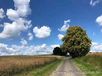 BUND kündigt Werbung um Mitglieder an - Oberhessen-live