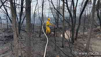 Paradise Lake cabin owners should leave area, says forest fire official - CBC.ca