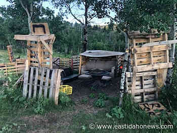 Couches, grills and pallets left on forest land will cost rangers thousands of dollars to clean up - East Idaho News