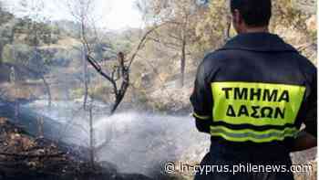 Foinikaria fire contained before reaching Limassol forest - in-cyprus