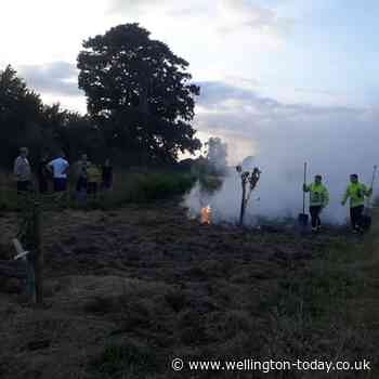 Blaze breaks out at new Wellington forest garden - Wellington Weekly News