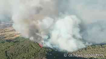 Thick smoke fills the air above Toledo forest fire - Yahoo News Canada