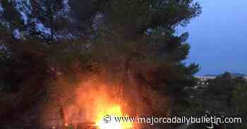 Cigarettes the main cause of forest fires in Mallorca - Majorca Daily Bulletin
