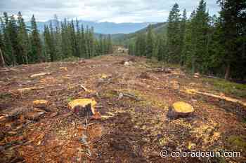 Forest Service halts Keystone's Bergman Bowl expansion after illegal road - The Colorado Sun