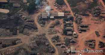 Brazil grants permit to pave highway through heart of Amazon forest - Reuters