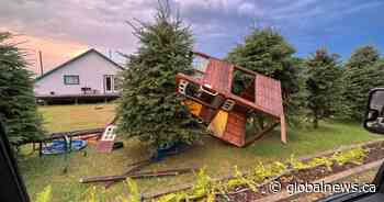 Northern Alberta storm leaves residents cleaning up damaged crops and homes