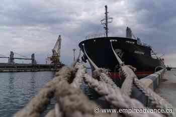 Zelenskyy visits port as Ukraine prepares to ship out grain - Virden Empire Advance