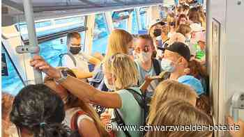 Bahnsinn - Im Zug zwischen Nagold und Pforzheim herrscht Chaos - Schwarzwälder Bote