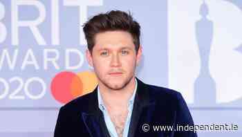 Niall Horan's music firm enjoys revival after Covid closures - Independent.ie