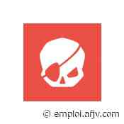 Offre d'emploi Technicien.ne IT - Villeurbanne (69) - Old Skull Games (Juillet 2022) - AFJV