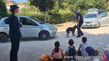 Fermo, unità cinofile tra i bimbi Successo per la giornata con la Guardia di Finanza - il Resto del Carlino