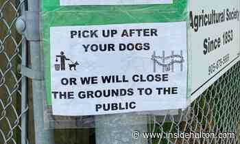 'So frustrating': Popular downtown Milton spot might be closed off due to excessive dog poop - InsideHalton.com