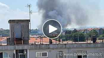 Termoli, brucia il vallone San Rocco. 115 salva balle di fieno dalle fiamme - Primonumero