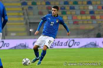 Obiettivi, derby del Garda per Ferrarini: c’è anche il Brescia - Calcio Hellas