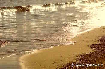 Marina di Massa, trovato in mare il cadavere di un 35enne - gonews.it - gonews