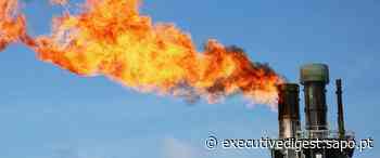 Argelina Sonatrach anuncia três novos campos de petróleo e gás no sul do país - SAPO
