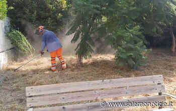 Salerno, operai al lavoro per il taglio dell’erba e la manutenzione del verde pubblico - Salernonotizie.it