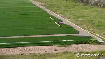 Erba sintetica: perché è molto sconveniente, soprattutto in estate - Ecoo